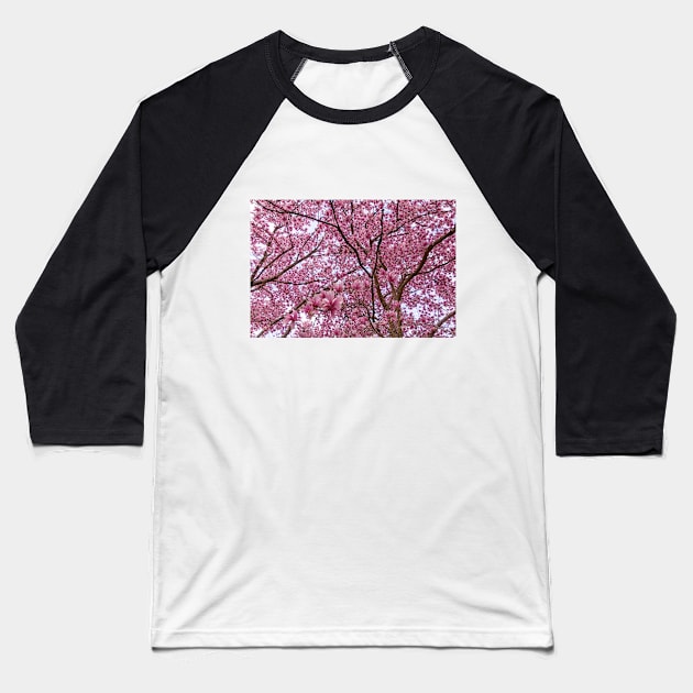 Pink Flower Explosion Baseball T-Shirt by SafariByMarisa